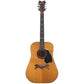 1975 Time Acoustic Dreadnought