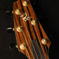 1996 Breedlove C2 "Deschutes" Steve Henderson Masterbuilt Cedar/Sapele