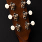 2025 Circle Strings OM, Carpathian Spruce/Granadillo