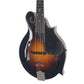 2010 Macica F5 "Hoss" Mandolin