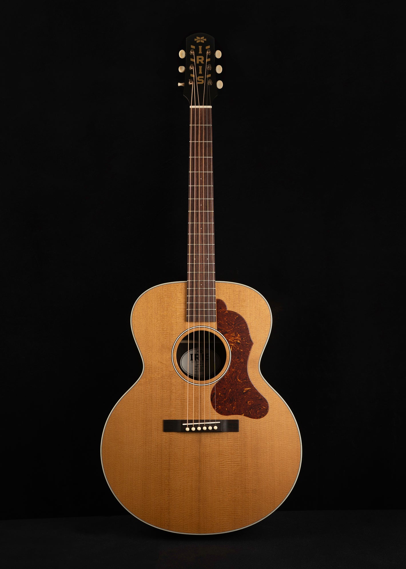 2025 Iris AB Natural, Torrefied Sitka/Indian Rosewood