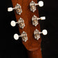 John S. Kinnard Slope Shoulder Dreadnought