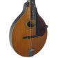 1924 Gibson A2-Z Mandolin