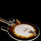 Gold Tone EBM-5 Electric Banjo (lefty)