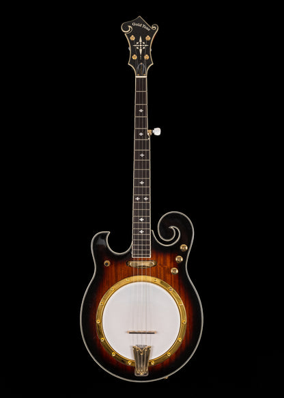Gold Tone EBM-5 Electric Banjo (lefty)