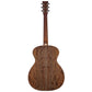 2023 Circle Strings A1 - European/Walnut