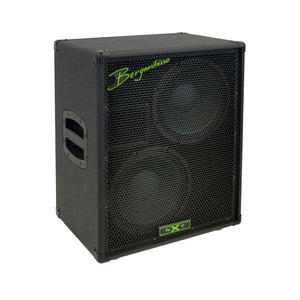 Bergantino NXT210 Bass Speaker Cabinet