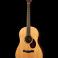 Pledger Guitars D-12
