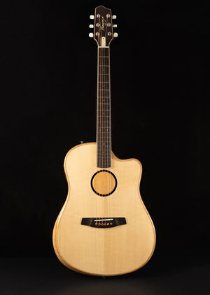 L.R. Baggs AEG-1