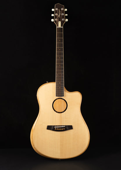 L.R. Baggs AEG-1