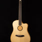 L.R. Baggs AEG-1