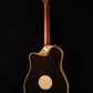L.R. Baggs AEG-1
