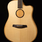 L.R. Baggs AEG-1
