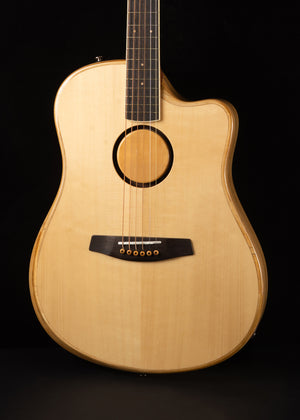 L.R. Baggs AEG-1