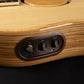L.R. Baggs AEG-1