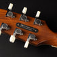 L.R. Baggs AEG-1
