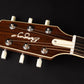 L.R. Baggs AEG-1