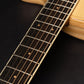 L.R. Baggs AEG-1