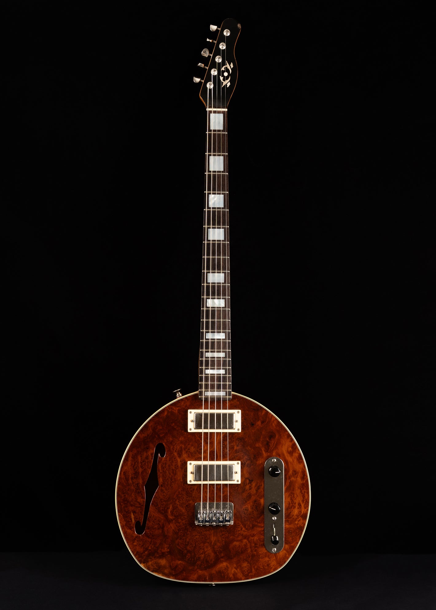 Circle Strings Electric Banjo or 5 string Guitar