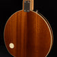 Circle Strings Electric Banjo or 5 string Guitar