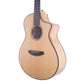 2022 Breedlove Oregon Concert CE