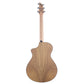 2022 Breedlove Oregon Concert CE