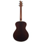 Breedlove Journey Concert - Brazilian Rosewood