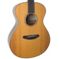 Breedlove Journey Concert - Brazilian Rosewood