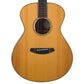 Breedlove Journey Concert - Brazilian Rosewood