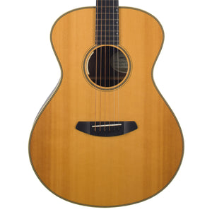 Breedlove Journey Concert - Brazilian Rosewood