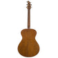 1996 Breedlove C2 "Deschutes" Steve Henderson Masterbuilt Cedar/Sapele