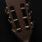 2025 Circle Strings Parlor, Redwood/Brazilian Rosewood