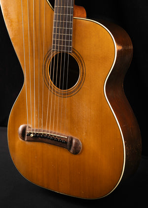 Larsen Brothers Dyer Harp Guitar Style 3