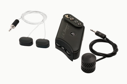 L.R. Baggs HiFi Duet Pickup System