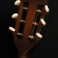 2025 Iris RCM-000 Burst, Adirondack/Mahogany