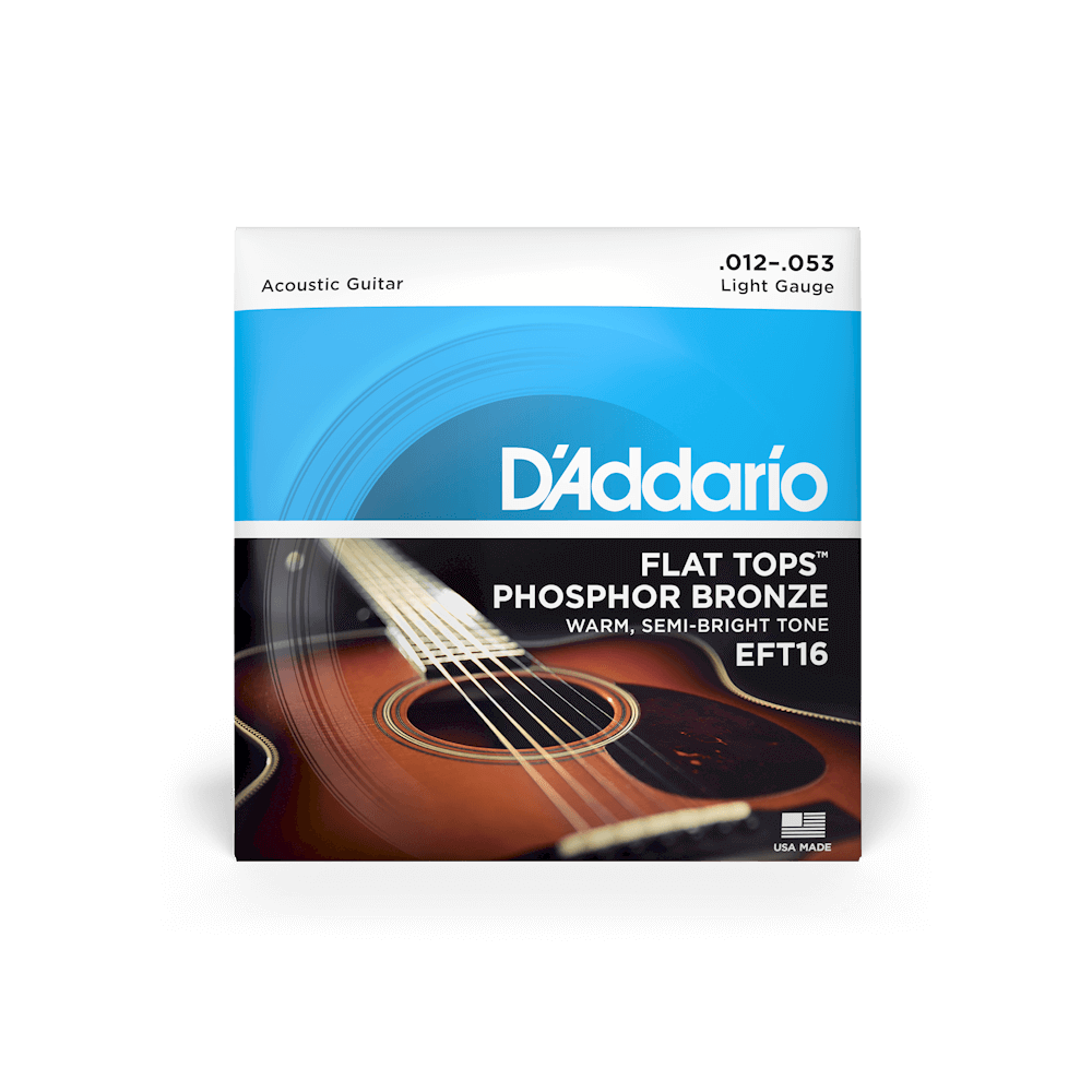 D'Addario Flat Top Phosphor Bronze Acoustic Guitar Strings