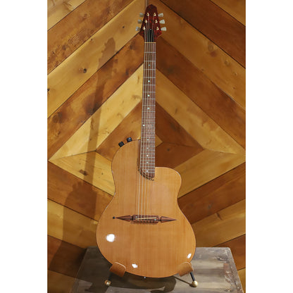 Rick Turner Renaissance Steel String